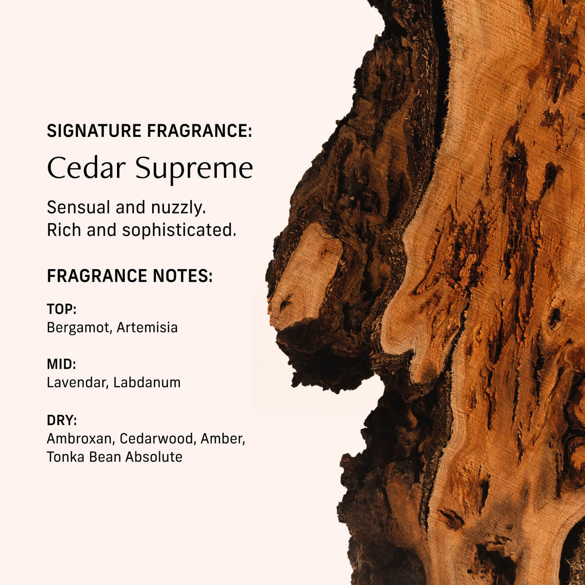 CYKLAR Perfume Oil Cedar Scent 15ml lifestyle shot