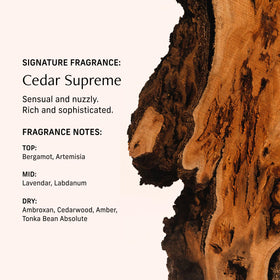 CYKLAR Perfume Oil Cedar Scent 15ml lifestyle shot