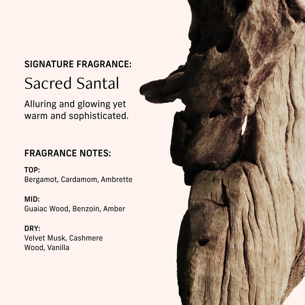 CYKLAR Sacred Santal Perfume Oil in a lifestyle setting