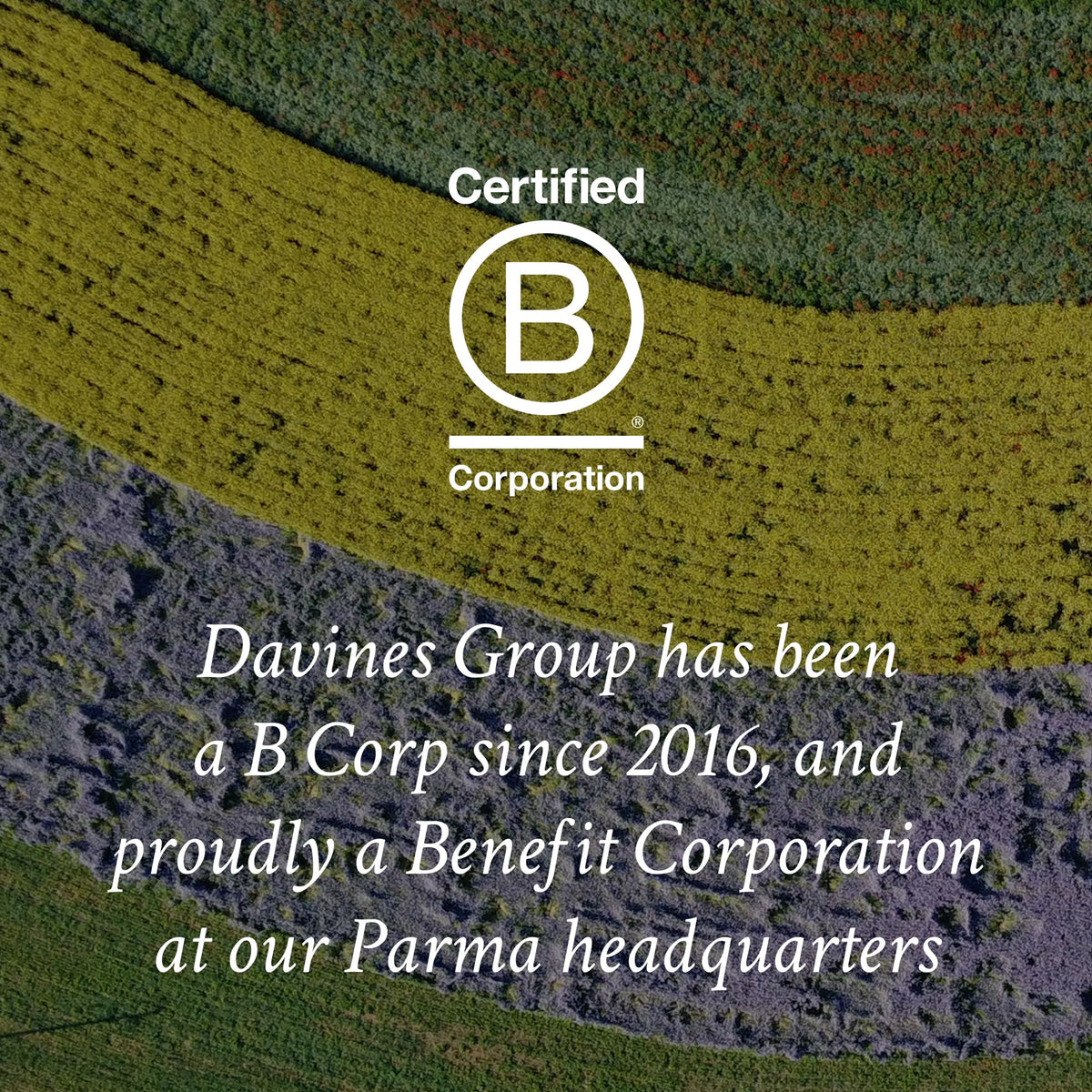 Davines Curl Building Serum in hand for application