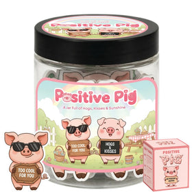DEARMINE Positive Pig Jar with 60 affirmation cards front view