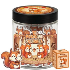 DEARMINE Positive Squirrel Jar with 60 affirmation cards front view