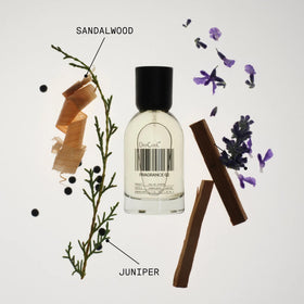DedCool Fragrance 02 Eau de Parfum 15 mL lifestyle scene