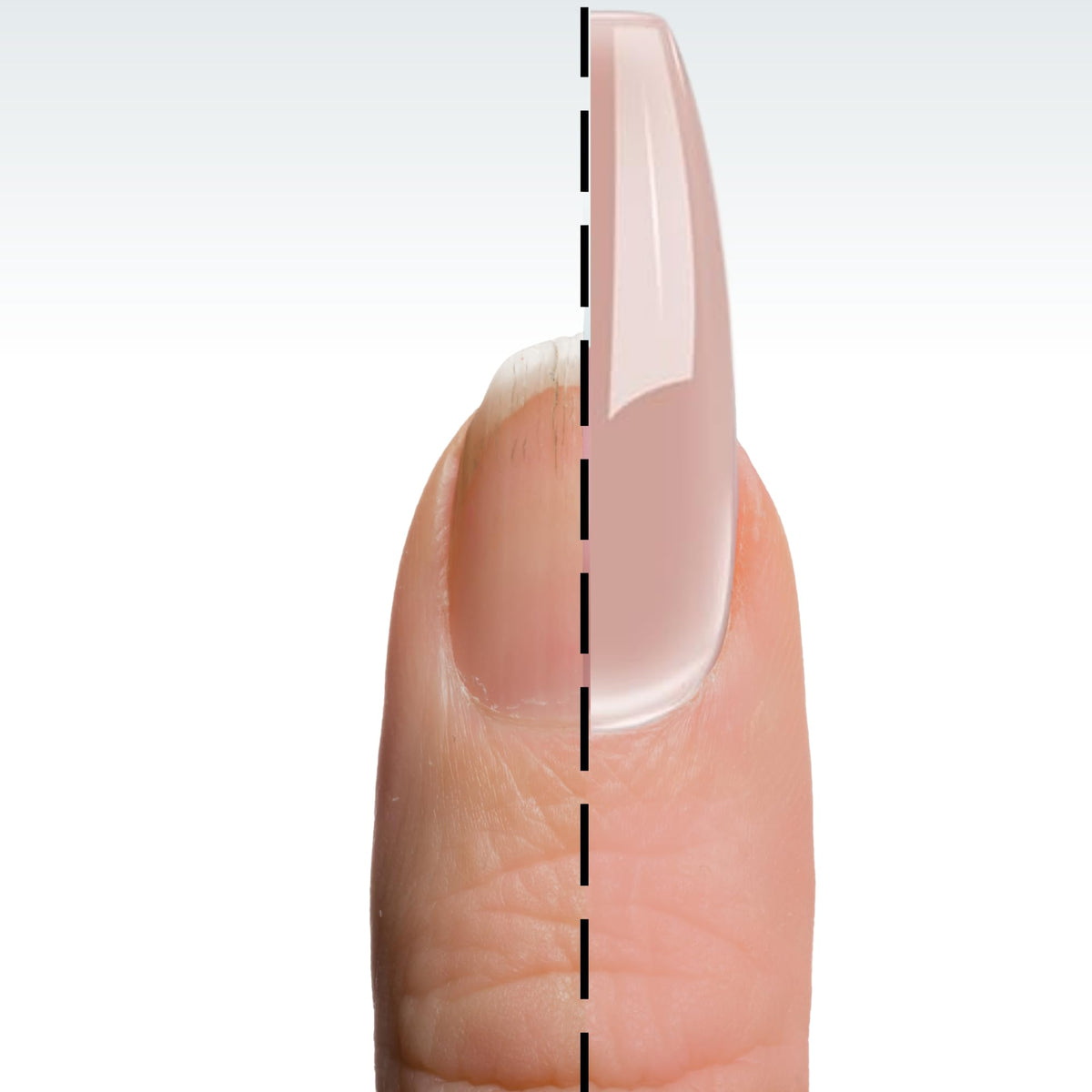DeEnti Acrylic Nail Powder Cover Pink with nail tools