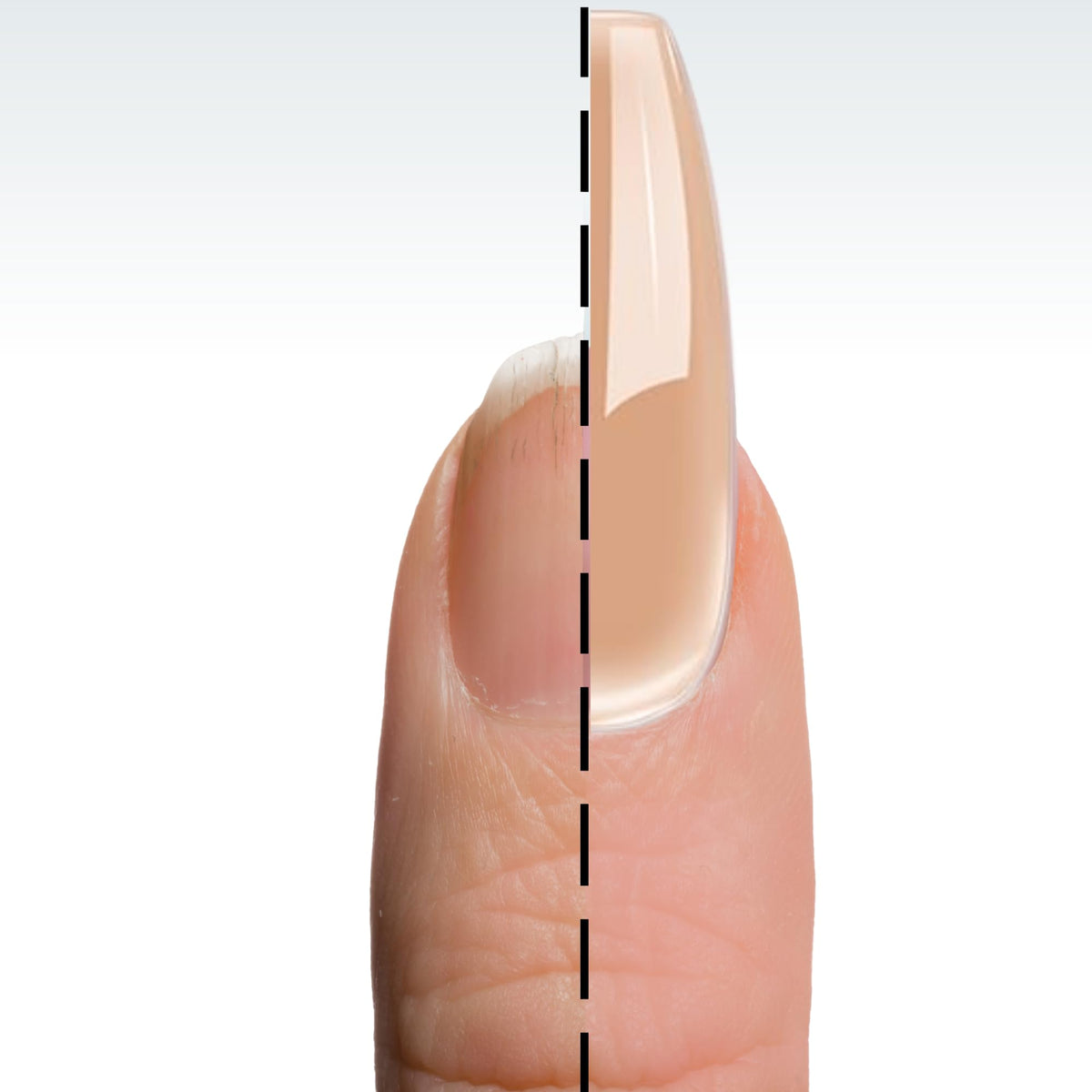 DeEnti Dark Nude Acrylic Nail Powder 2oz in use on nails