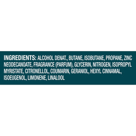 Degree Men's Whole Body Deodorant fresh scent description