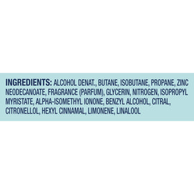 Degree Women Whole Body Deodorant Spray with other personal care items