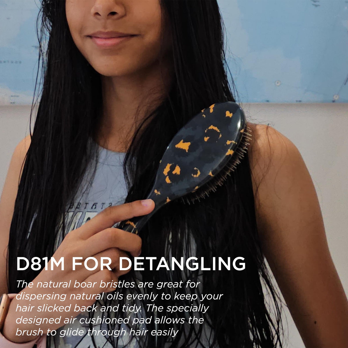 Denman D81M Boar Bristle Hair Brush in a grooming setting