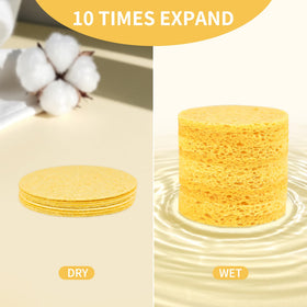 derloyo compressed facial sponge after hydration showing soft texture