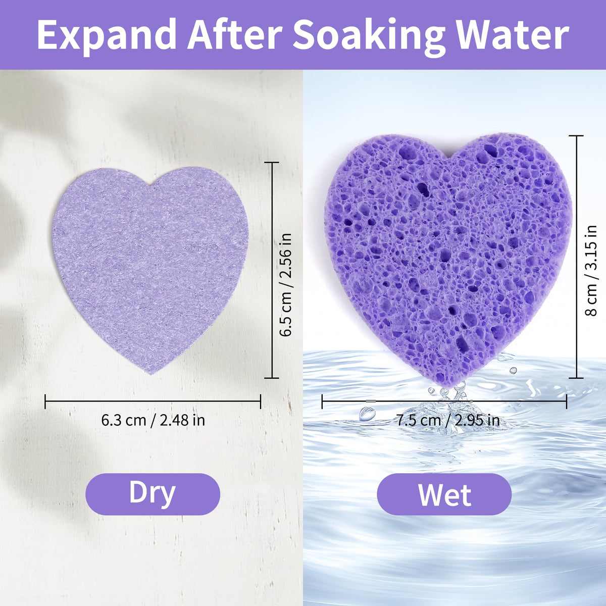 derloyo facial sponge after expansion and ready to use