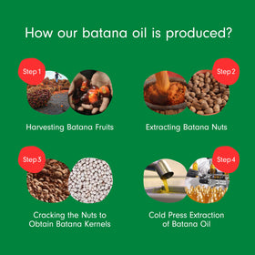 Dersie Batana Oil with natural ingredients