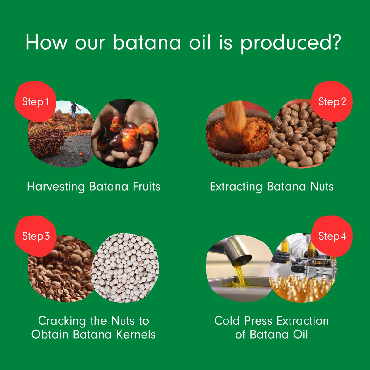 Dersie Batana Oil with other hair care products