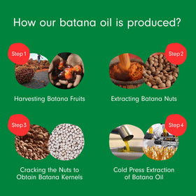 Dersie Batana Oil with other hair care products