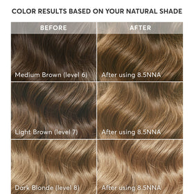 Detailed instruction booklet for Madison Reed hair color application