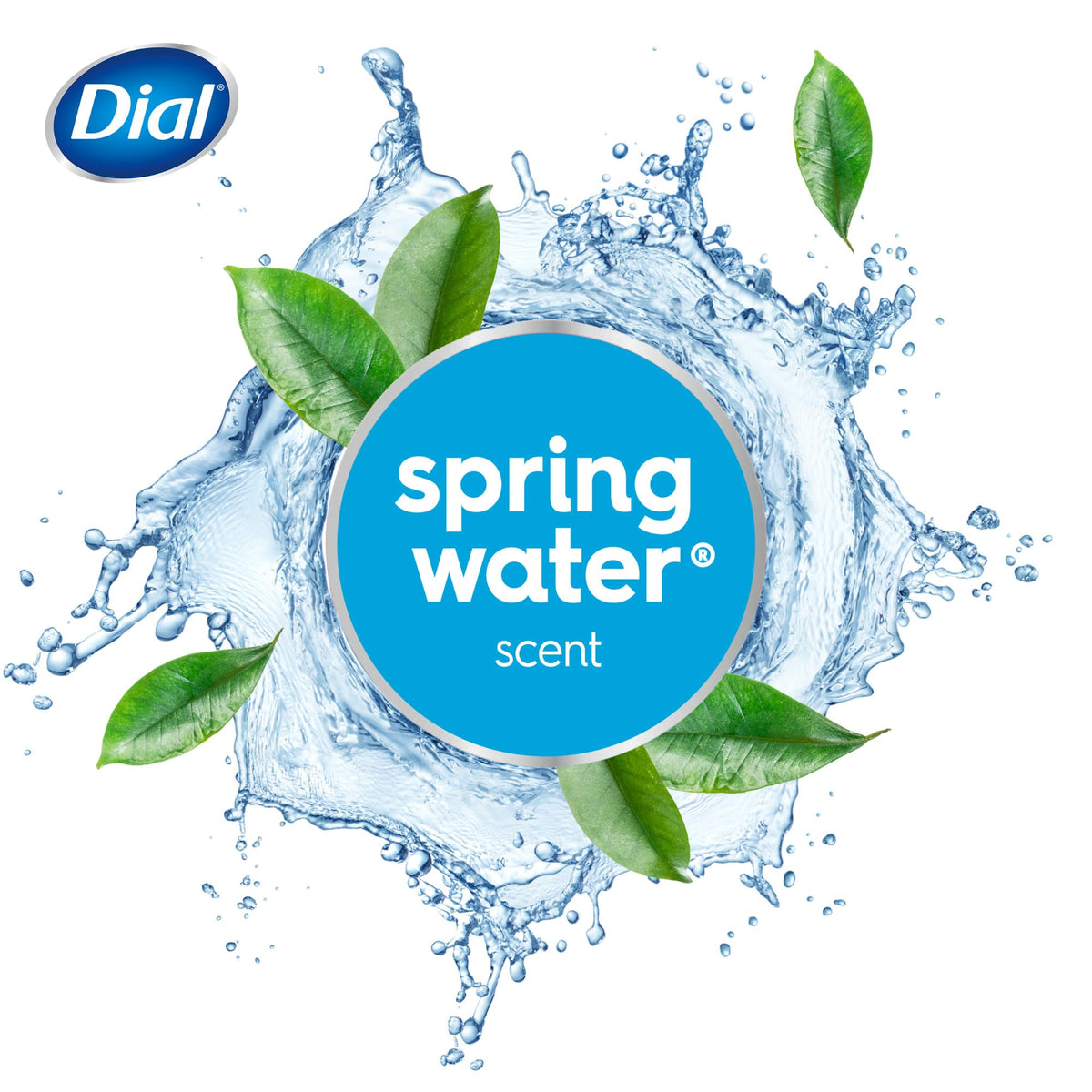 Dial Antibacterial Bar Soap Spring Water close-up