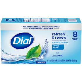 Dial Antibacterial Bar Soap Spring Water on bathroom counter
