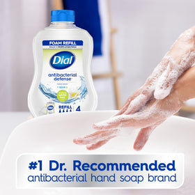 Dial Antibacterial Defense Foaming Hand Soap 30 Fl Oz refill pack with aloe vera