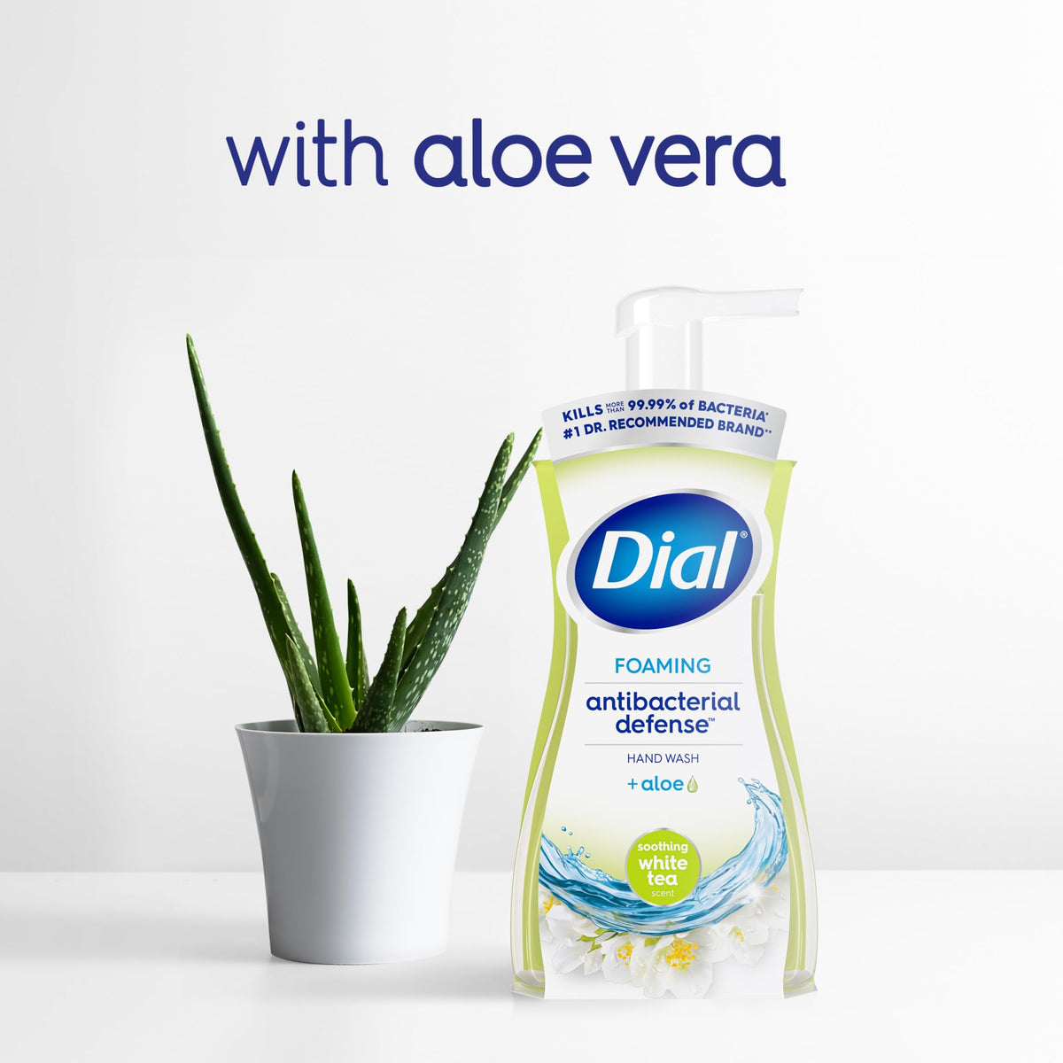 Dial Antibacterial Defense Foaming Hand Soap 30 Fl Oz refill pack with white tea fragrance
