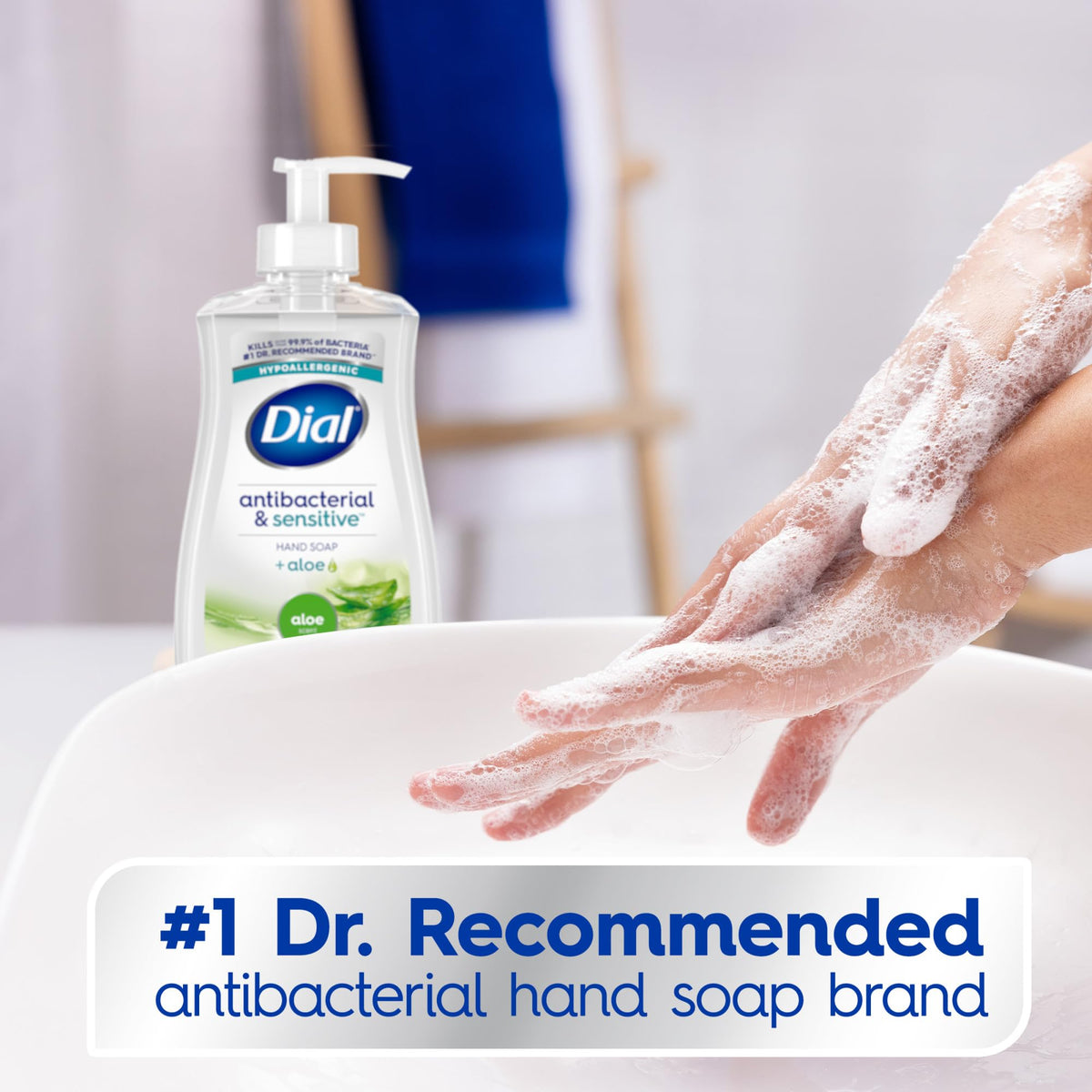 Dial Antibacterial Defense Liquid Hand Soap Aloe in kitchen