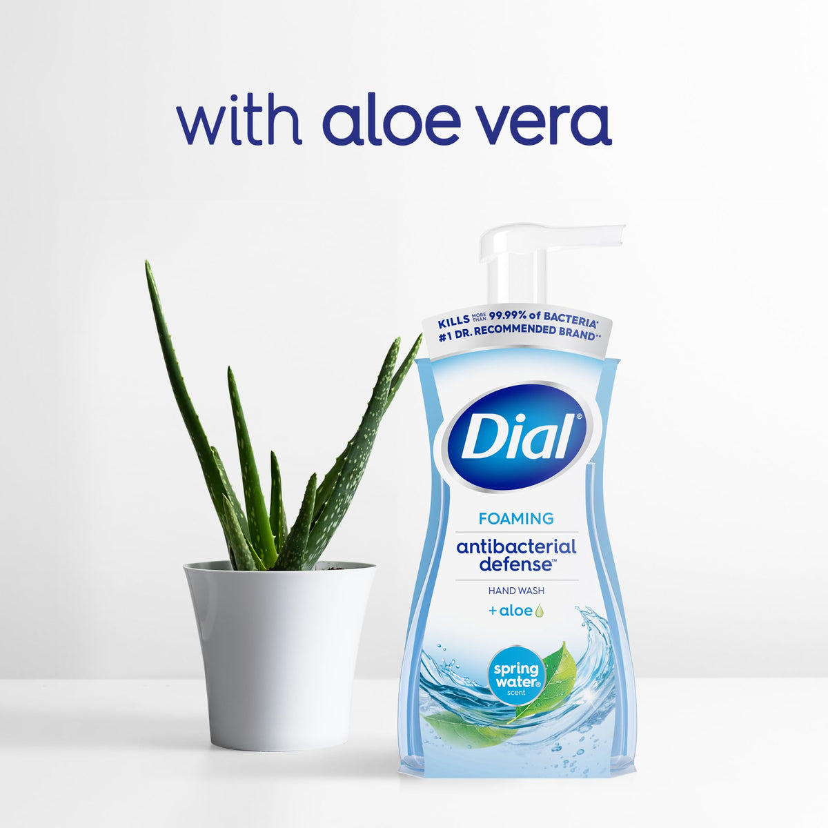 Dial Antibacterial Foaming Hand Soap Spring Water Scent packaging