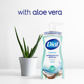 Dial Antibacterial Foaming Hand Wash Coconut Water bottle with label