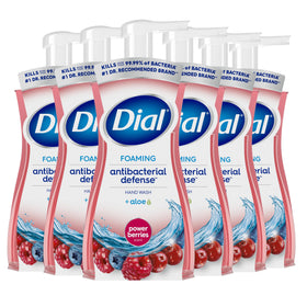 Dial Antibacterial Foaming Hand Wash Power Berries front view