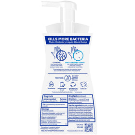Dial Antibacterial Foaming Hand Wash Power Berries packaging