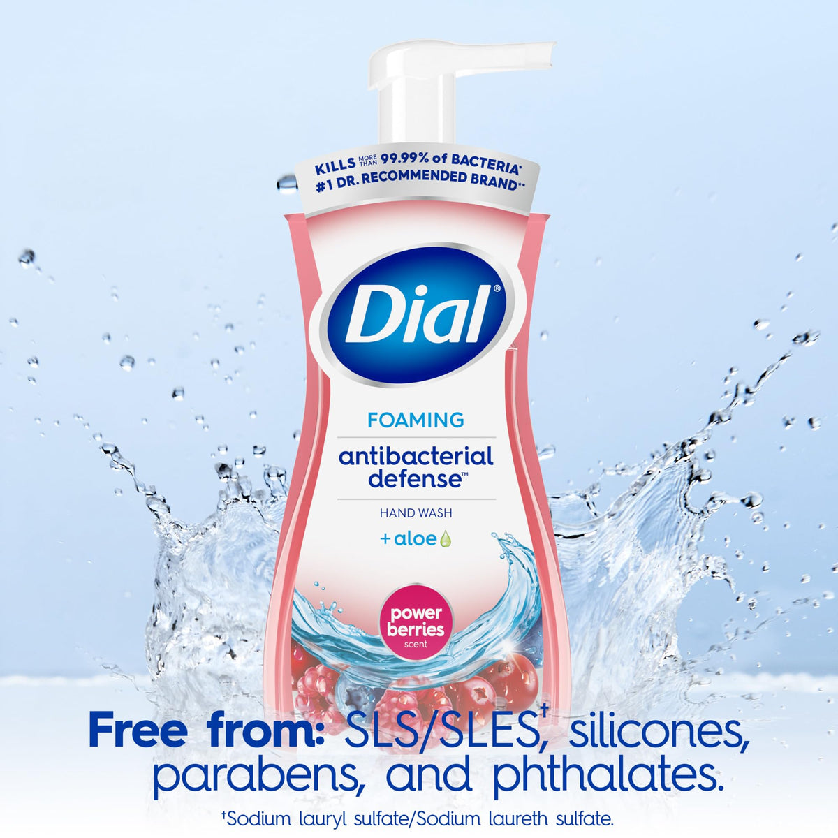 Dial Antibacterial Foaming Hand Wash Power Berries pump detail