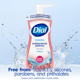 Dial Antibacterial Foaming Hand Wash Power Berries pump detail