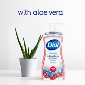 Dial Antibacterial Foaming Hand Wash Power Berries with aloe vera