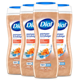Dial Body Wash Silk & Seaberry front view 16 fl oz bottle