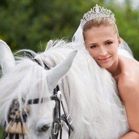 Didder Silver Crystal Tiara Crown Headband with a dress