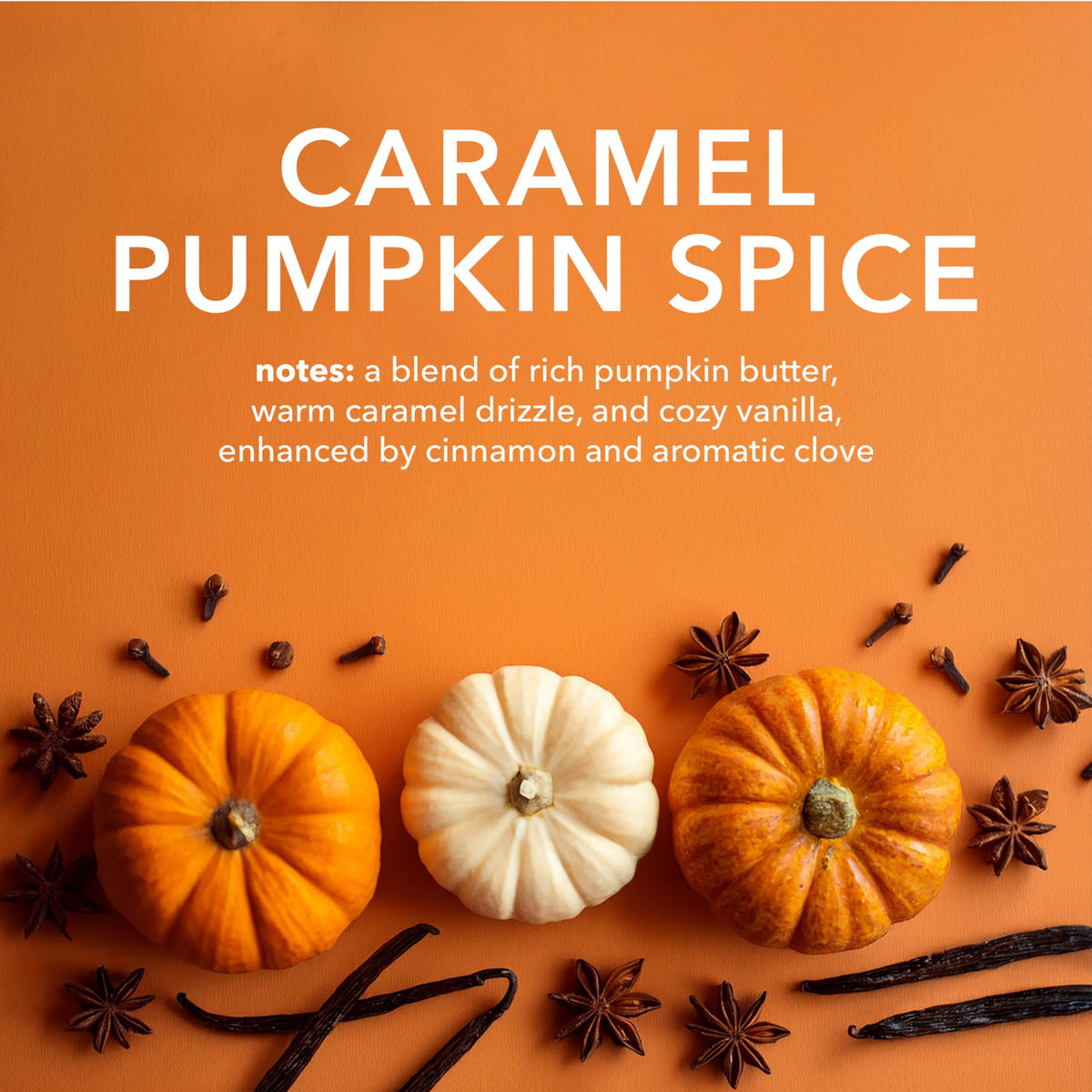 Dionis Goat Milk Lotion Caramel Pumpkin Spice ingredients list