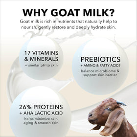 Dionis Goat Milk Lotion Ocean Mist pump close-up