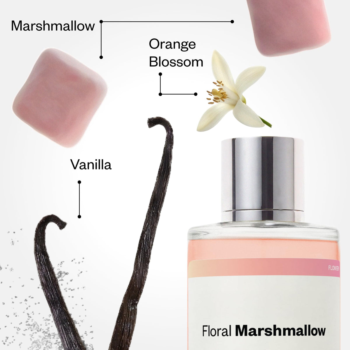Dossier Floral Marshmallow Eau de Parfum packaging