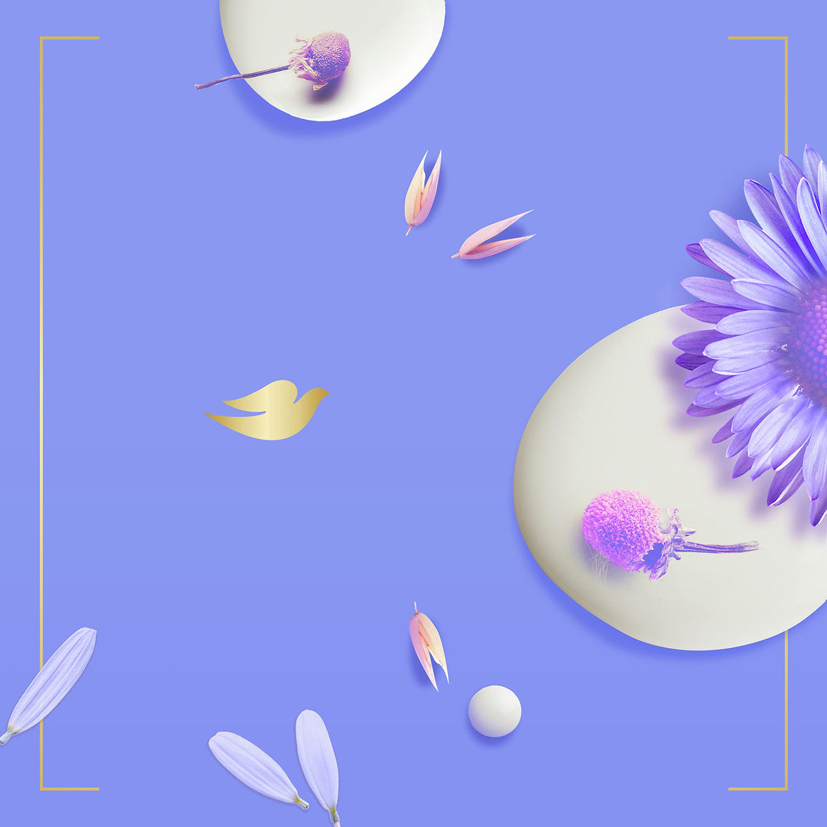 Dove Anti-Stress Beauty Bar on a soap dish