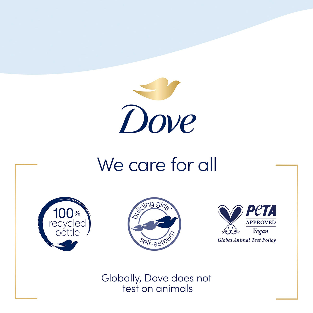 Dove Antibacterial Hand Wash Care & Protect packaging display
