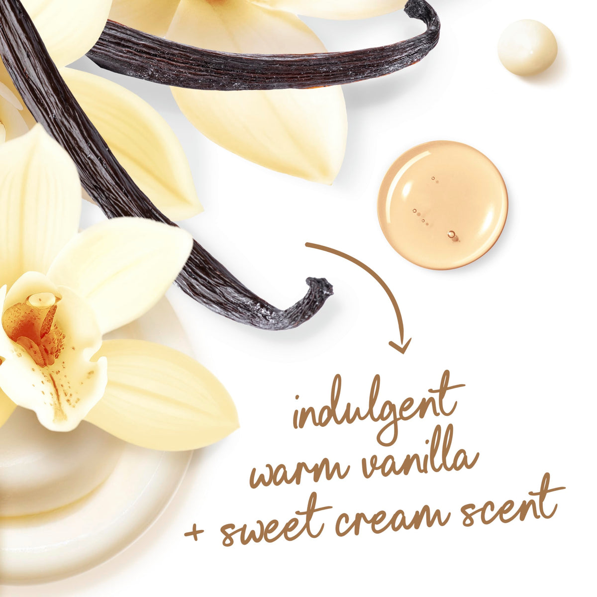 Dove Body Wash Indulge Warm Vanilla 20 oz with creamy texture