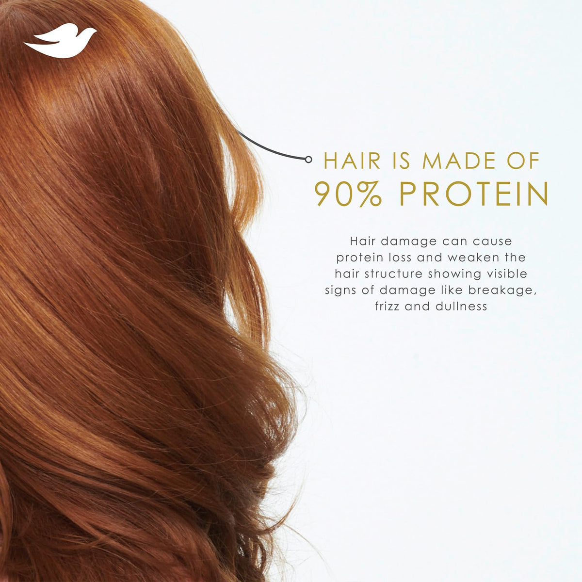 Dove Daily Moisture Conditioner close-up of bottle
