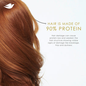 Dove Daily Moisture Conditioner close-up of bottle