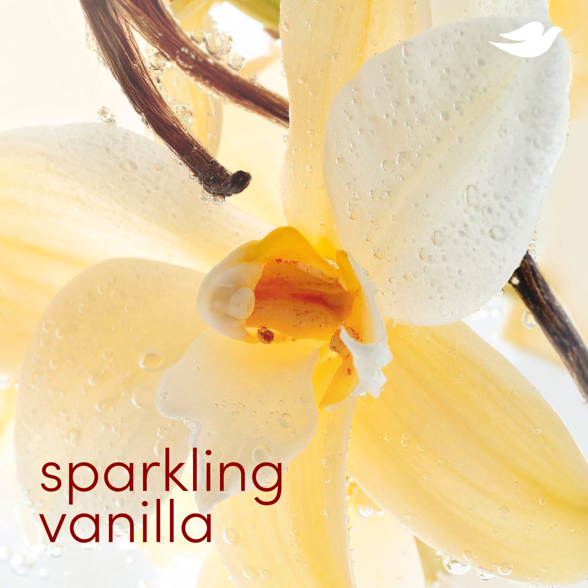 Dove Deodorant Stick Sparkling Vanilla close-up of stick
