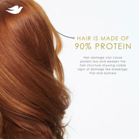 Dove Intensive Repair Conditioner 12oz packaging with ingredients
