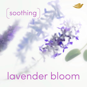 Dove Lavender Bloom deodorant spray bottle side view