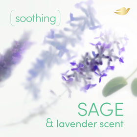 Dove Whole Body Deodorant Sage & Lavender 4oz side view
