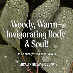 Dr. Bronner's Eucalyptus soap used for cleaning dishes