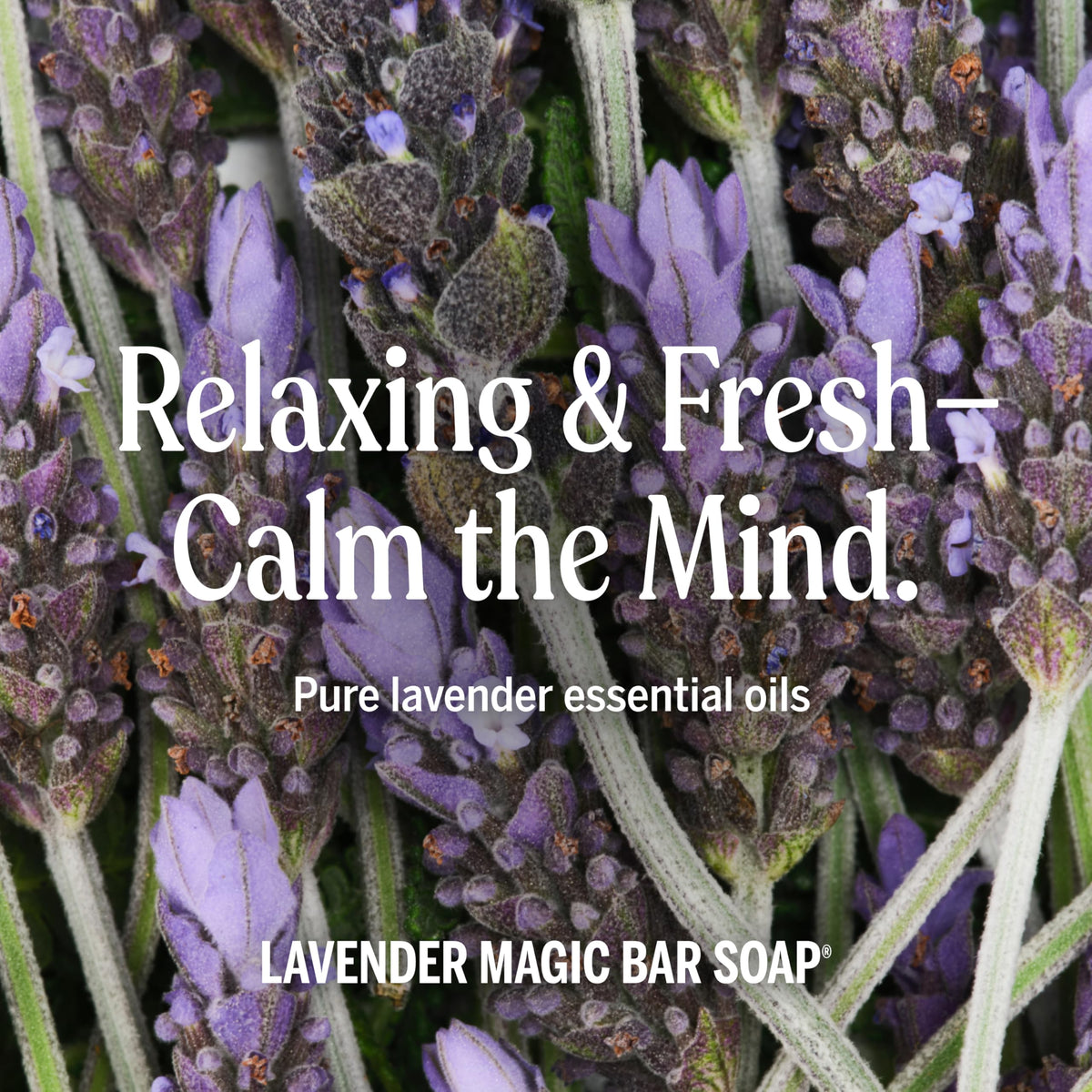 Dr. Bronner's Lavender soap in a relaxing bath setting