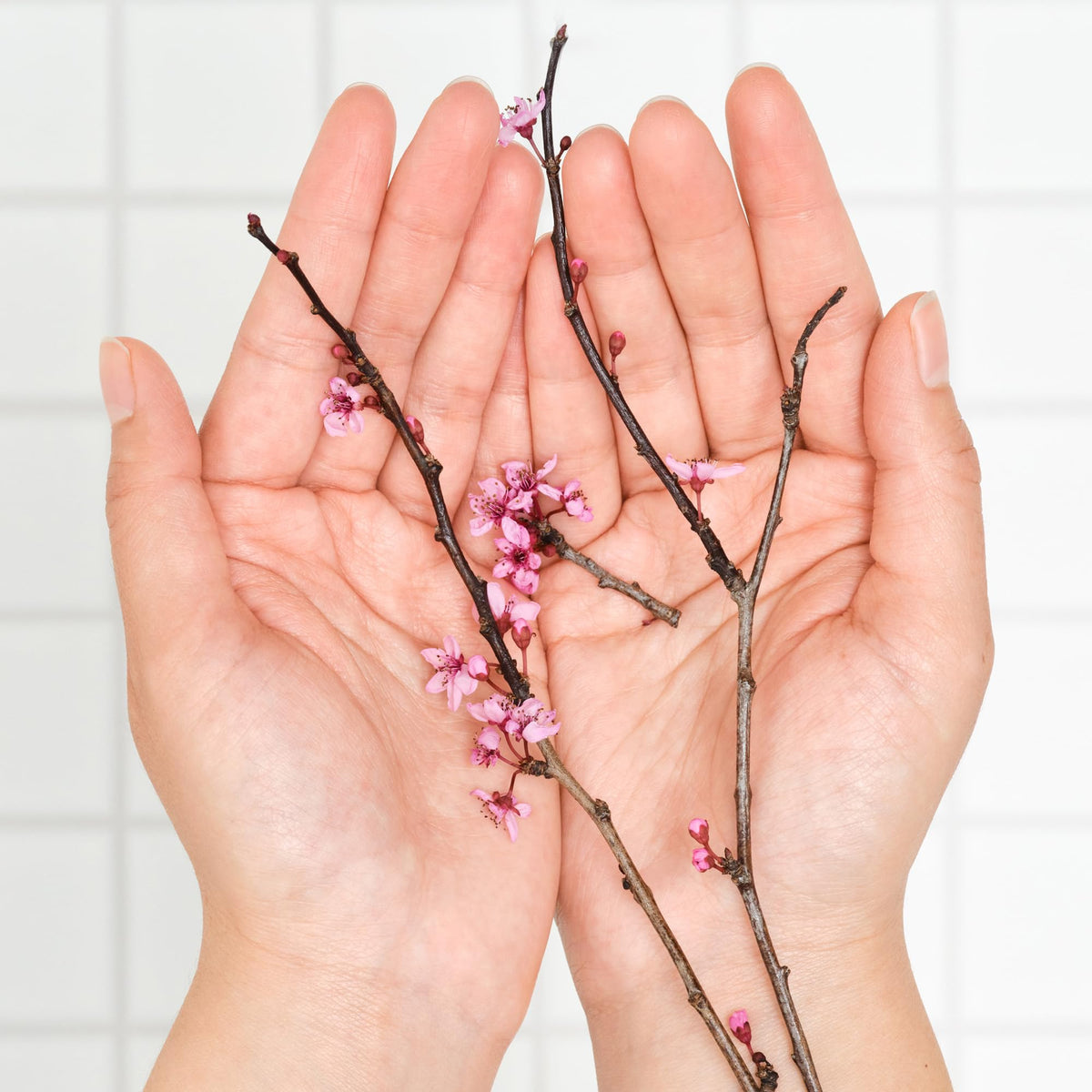 Dr. Bronner's Organic Lip Balm Cherry Blossom on a wooden surface