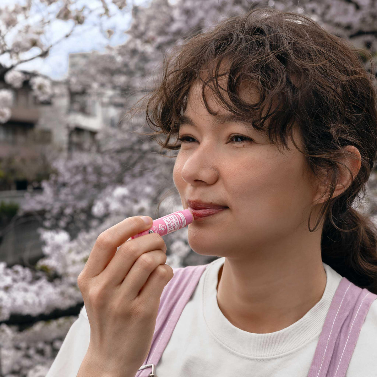 Dr. Bronner's Organic Lip Balm Cherry Blossom packaging display