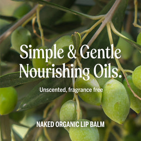 Dr. Bronner's Organic Lip Balm in hand, showcasing texture