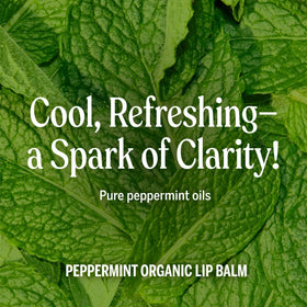 Dr. Bronner's Organic Lip Balm Peppermint in packaging